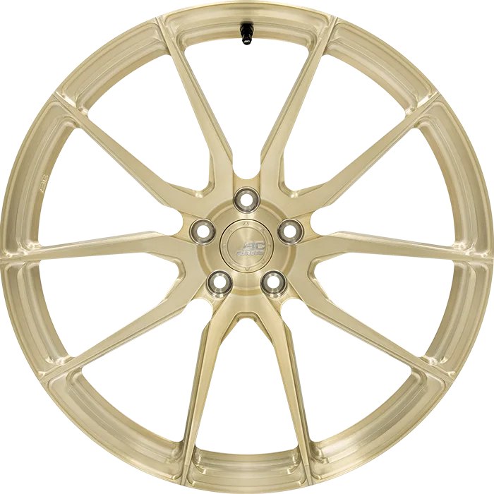 Легкосплавний диск 22" BC Forged EH172 22x12,5 BLANK Custom Finish - фото My Tuning Lab