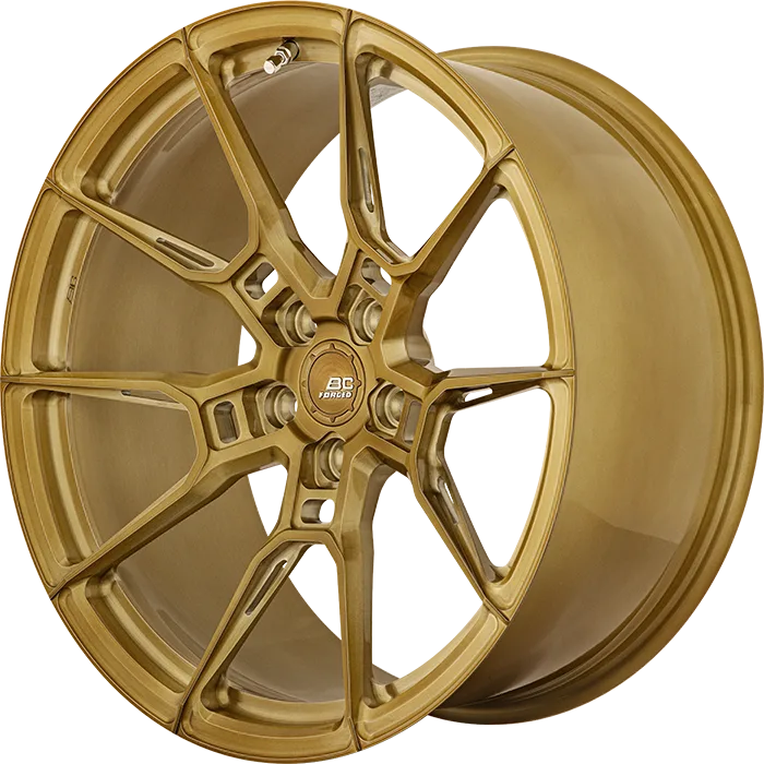Легкосплавний диск 22" BC Forged EH674 22x8,5 BLANK Custom Finish - фото My Tuning Lab