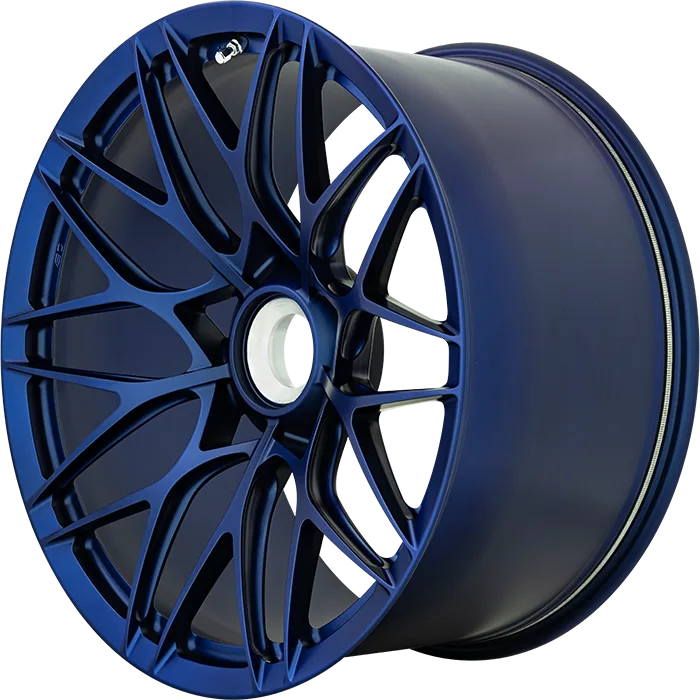 Легкосплавний диск 23" BC Forged ACL01 23x9,5 BLANK Custom Finish - фото My Tuning Lab