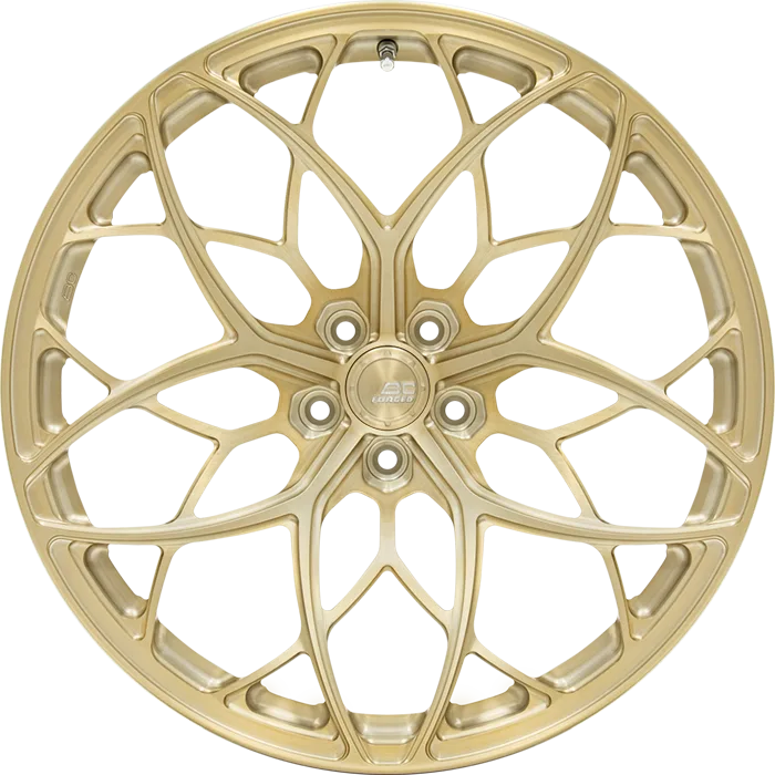 Легкосплавний диск 21" BC Forged RZ24 21x9,5 BLANK Custom Finish - фото My Tuning Lab