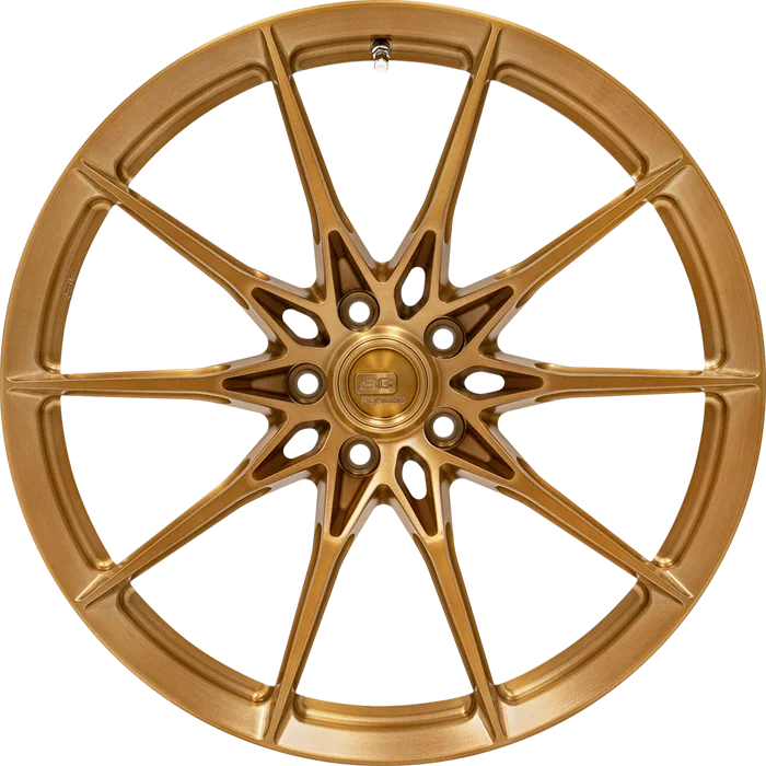 Легкосплавний диск 22" BC Forged EH-T04 22x12,5 BLANK Custom Finish - фото My Tuning Lab
